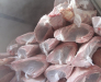 Delivery of frozen fish through the port of Poti and Batumi